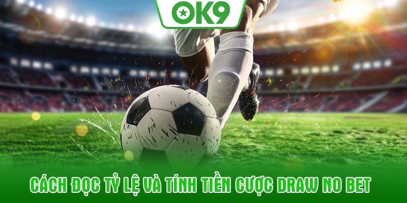 Cách đọc tỷ lệ và tính tiền cược Draw No Bet