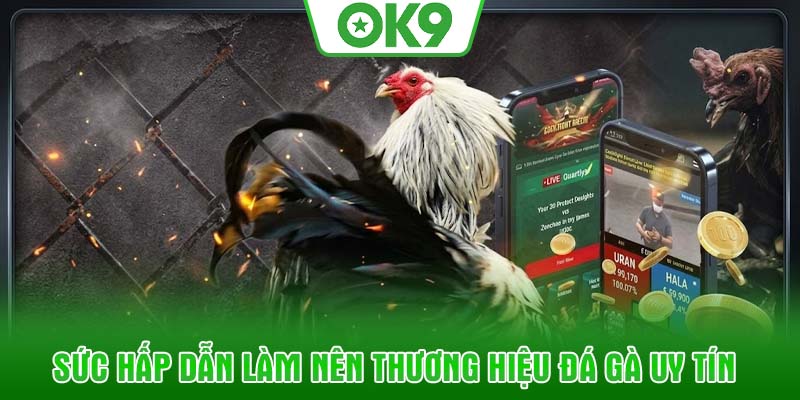 Sức hấp dẫn làm nên thương hiệu đá gà uy tín